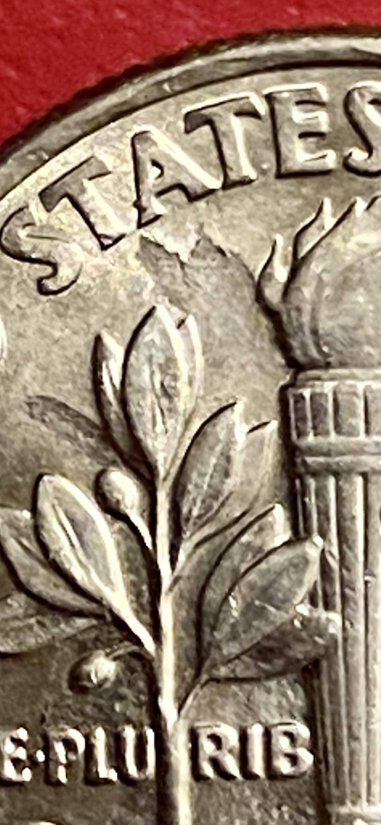 847D57EA-F3A5-4FAF-87FF-73337EA4E5D6.png