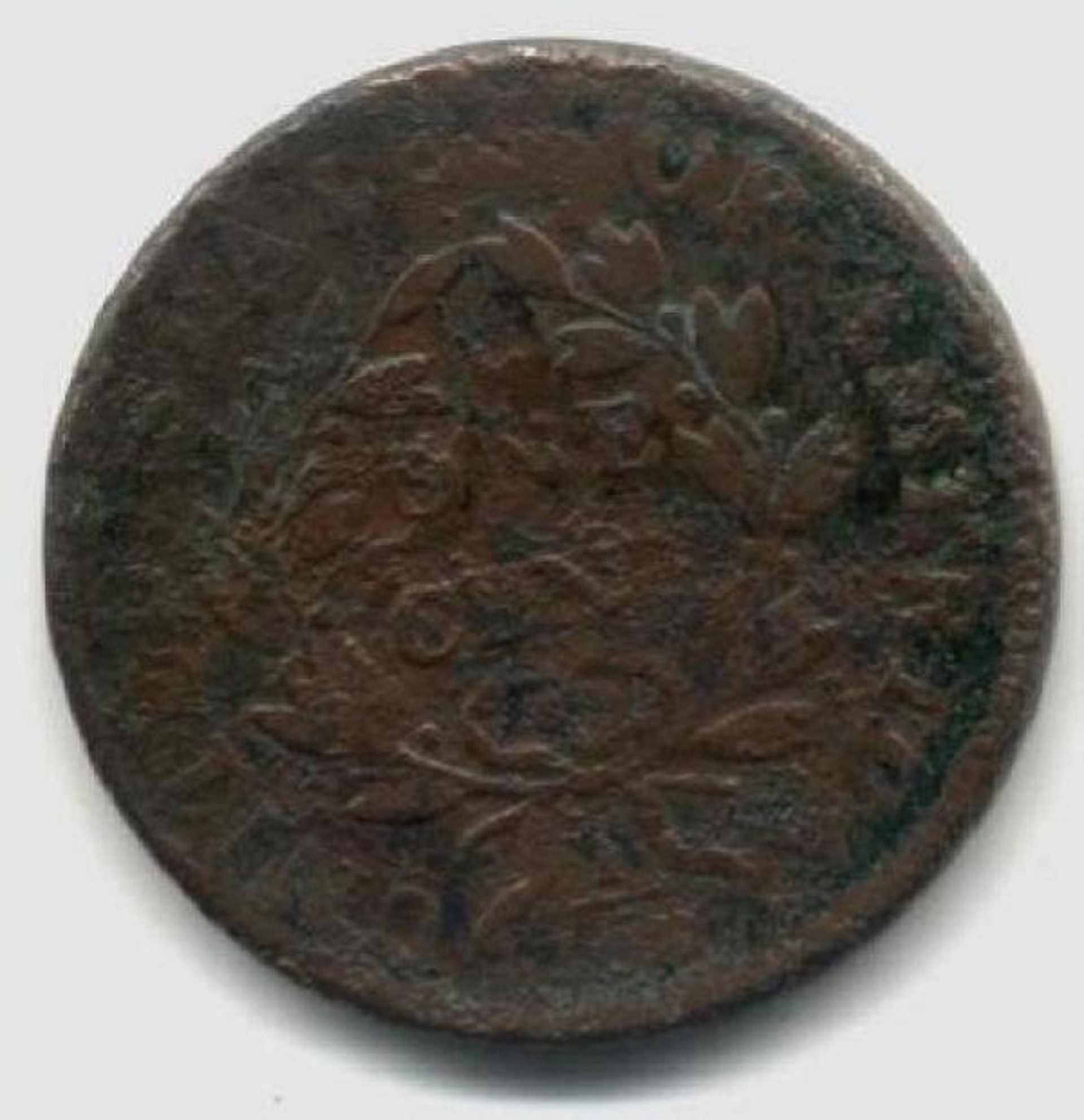 84c.jpg