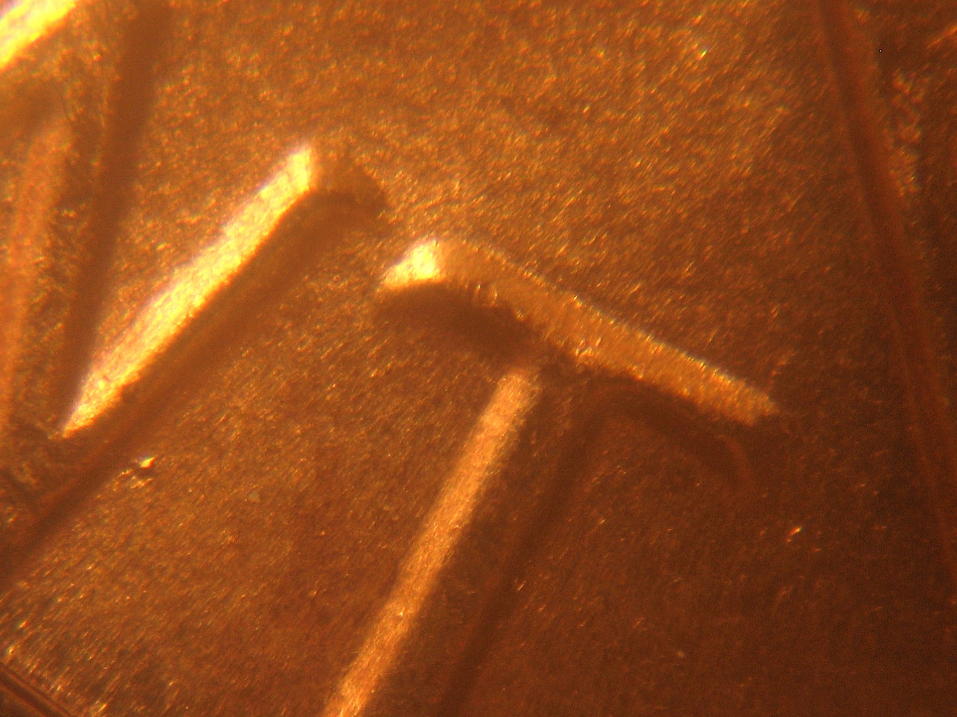 84C1.JPG