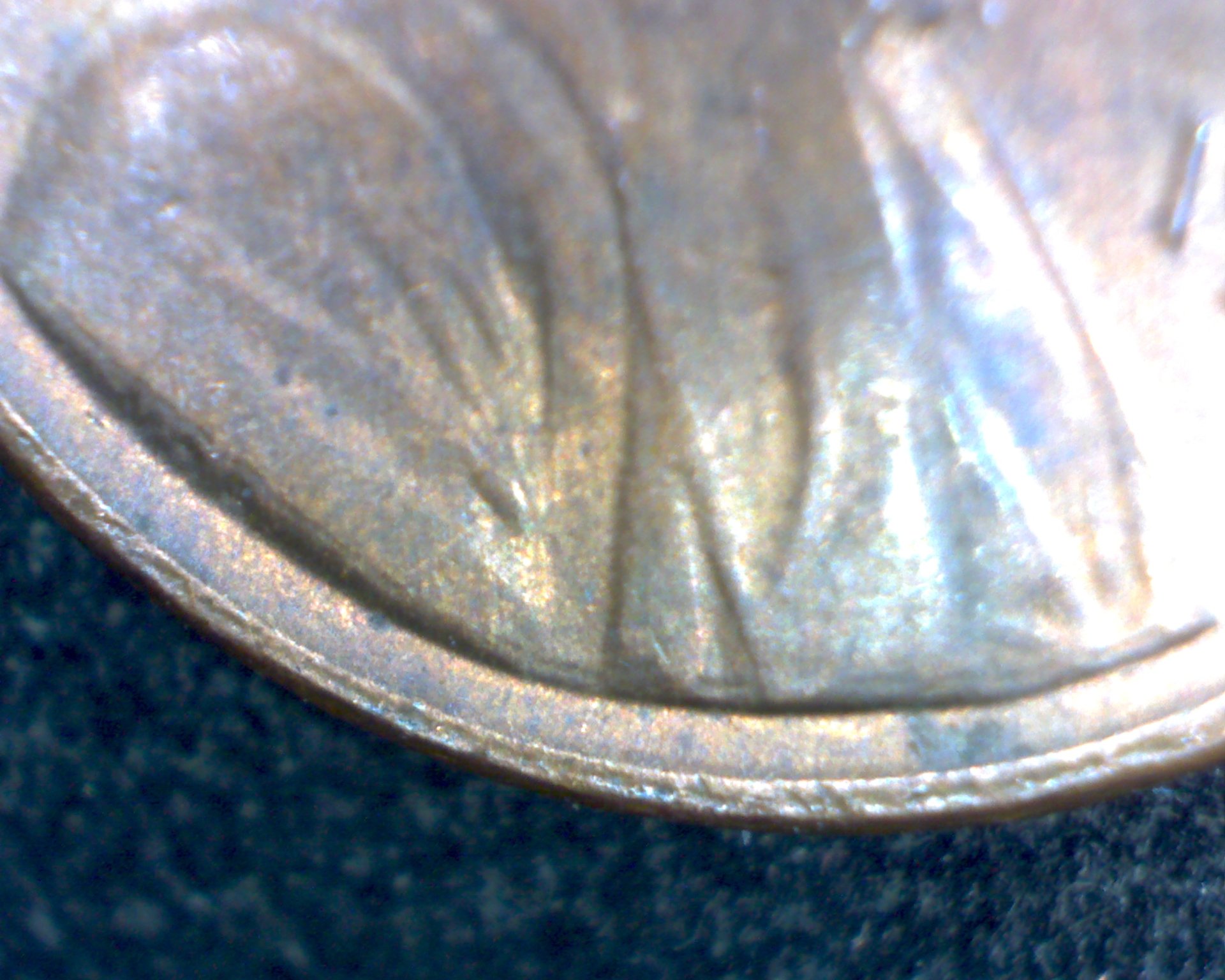 84d bust.jpg