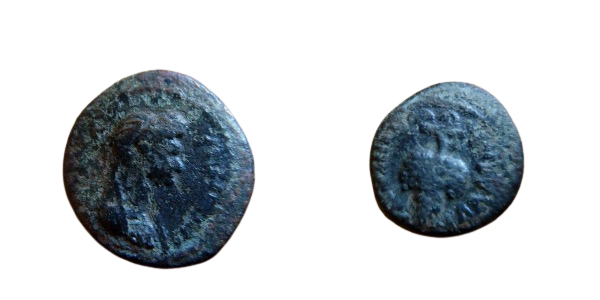 84D994DE-AC66-4065-ADFA-AE11F72508C5.png