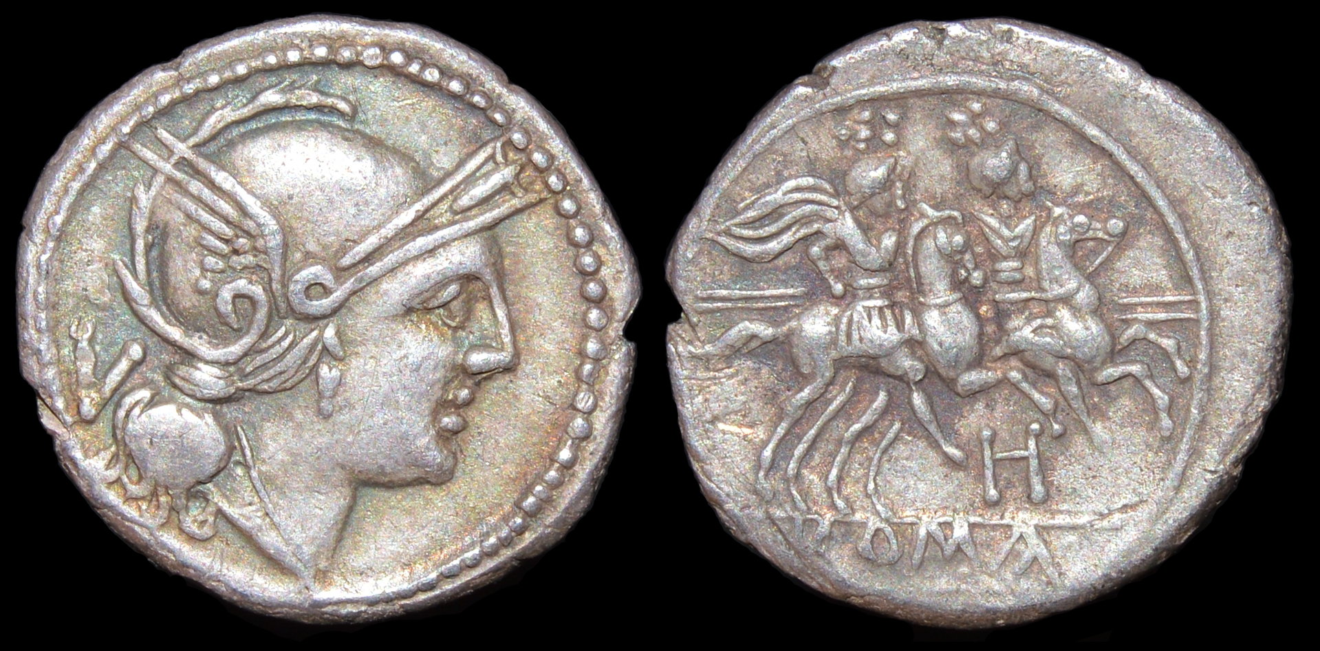 851ahquinarius.JPG