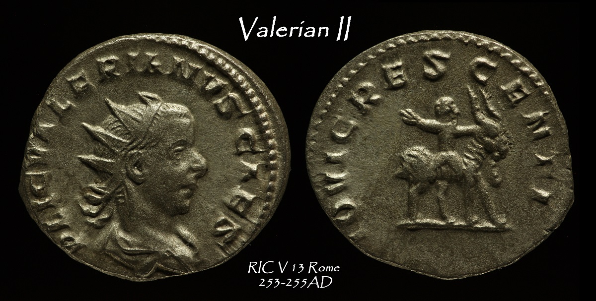 85a.jpg