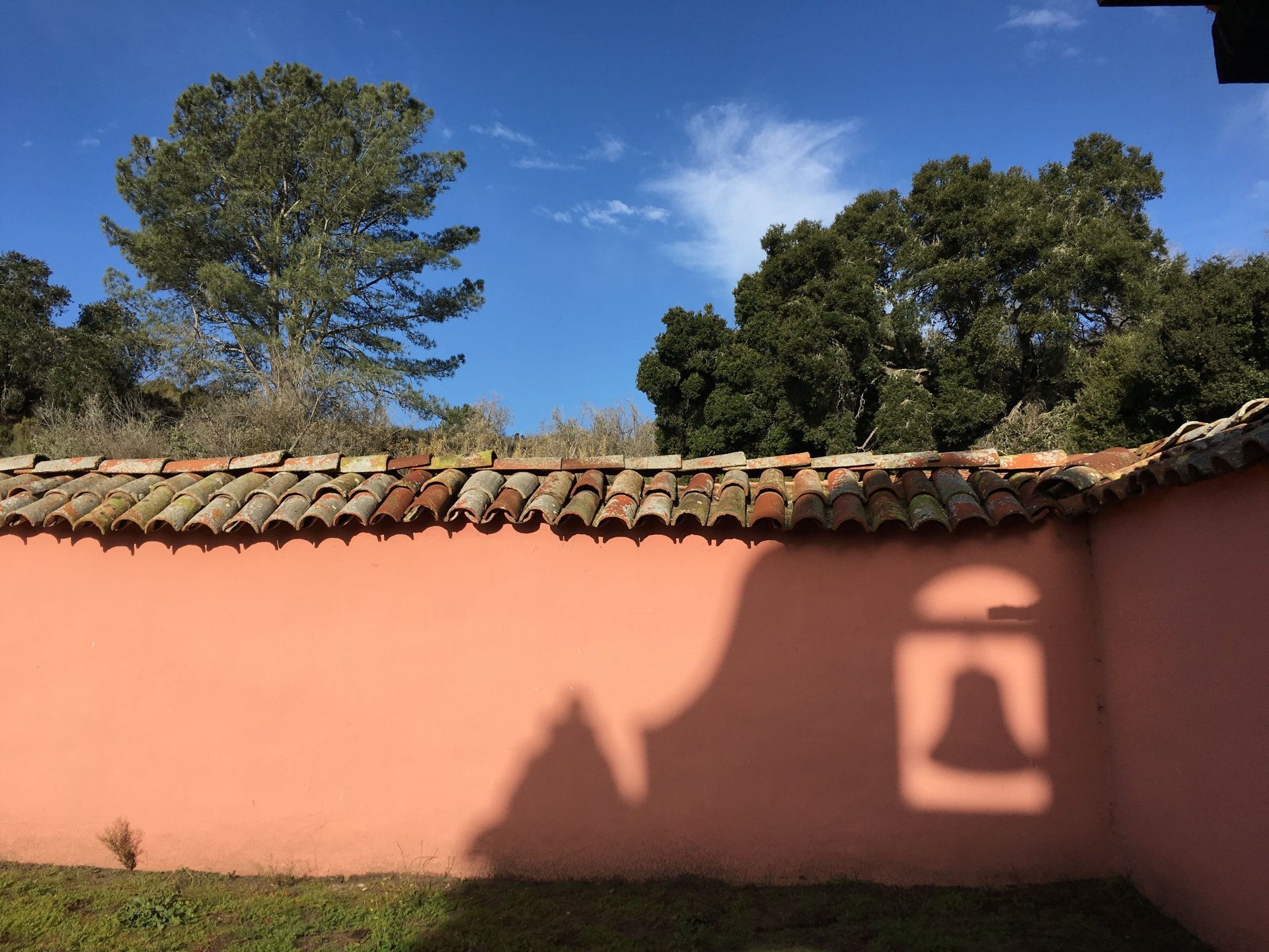 85AD6FCA-C97E-4FCB-900D-246E6066D2BC.jpeg