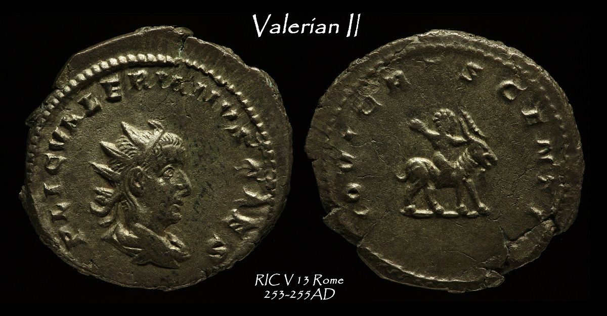 85b.jpg