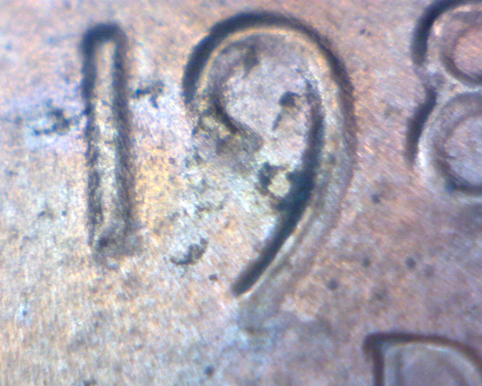86-19ofdate.jpg