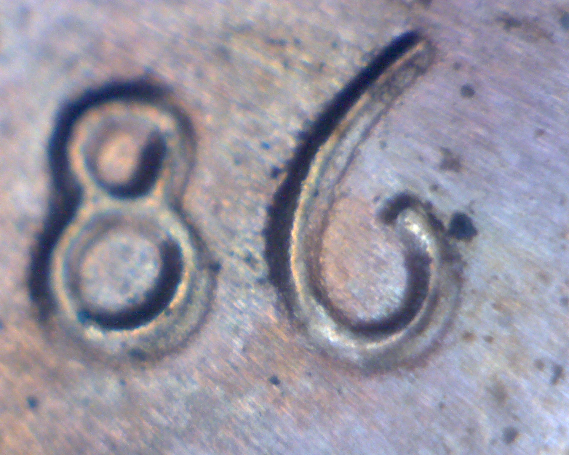 86-86ofdate.jpg