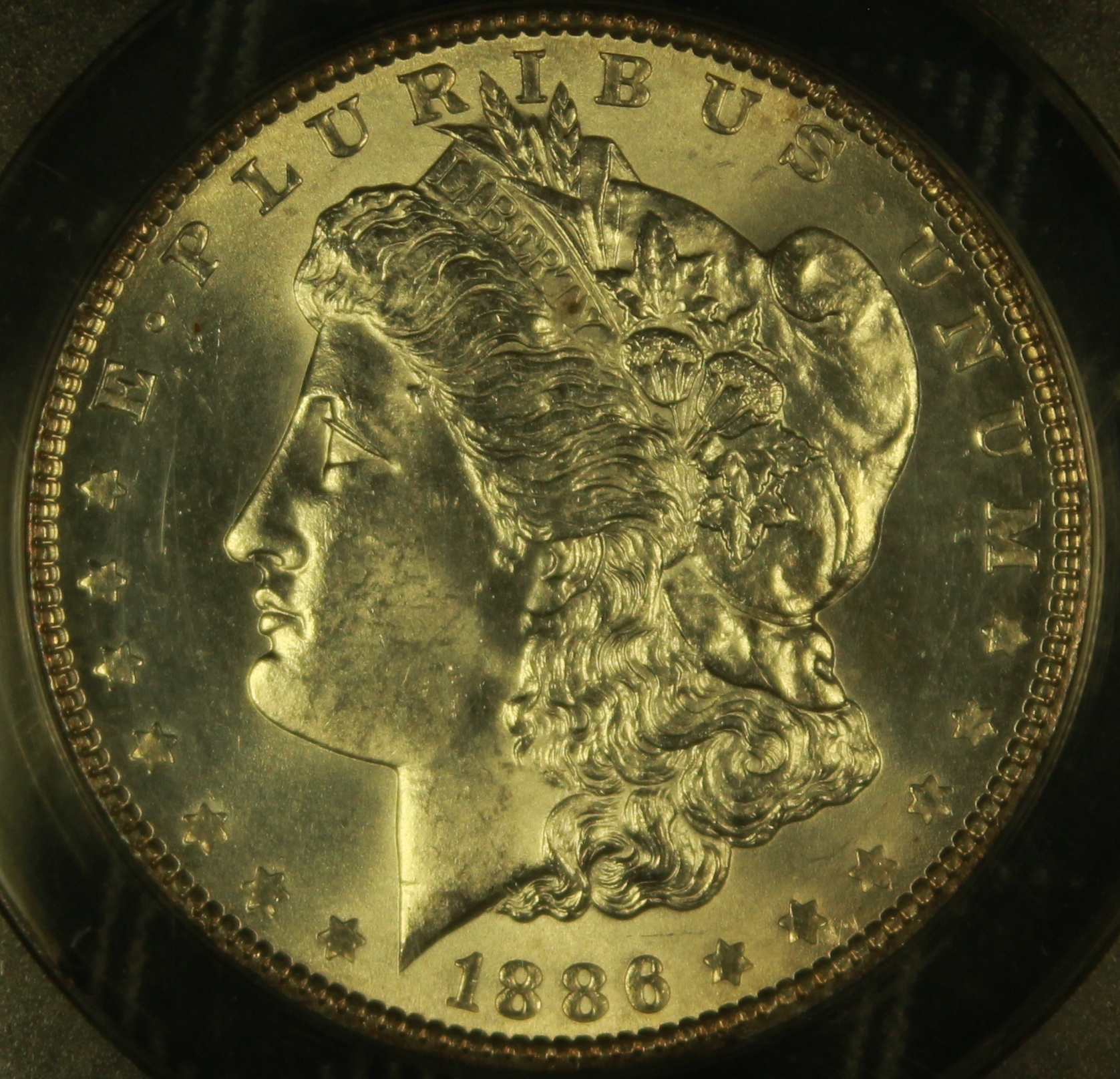 86 morgan obv..JPG
