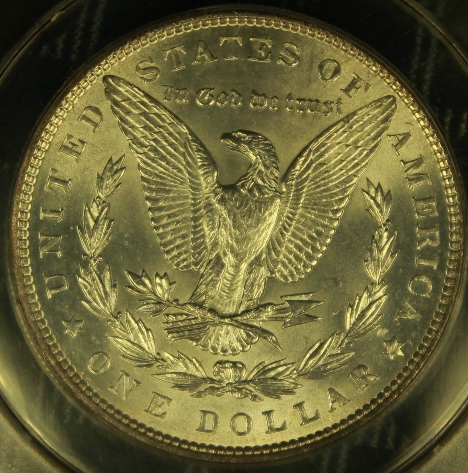 86 morgan rev.JPG