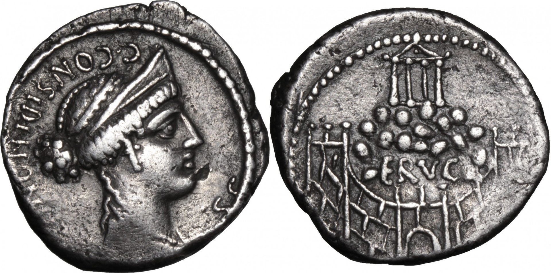 863125.jpg