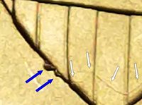 -8661944401137864123_thumbnail.jpg