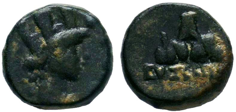 872691.l.jpg