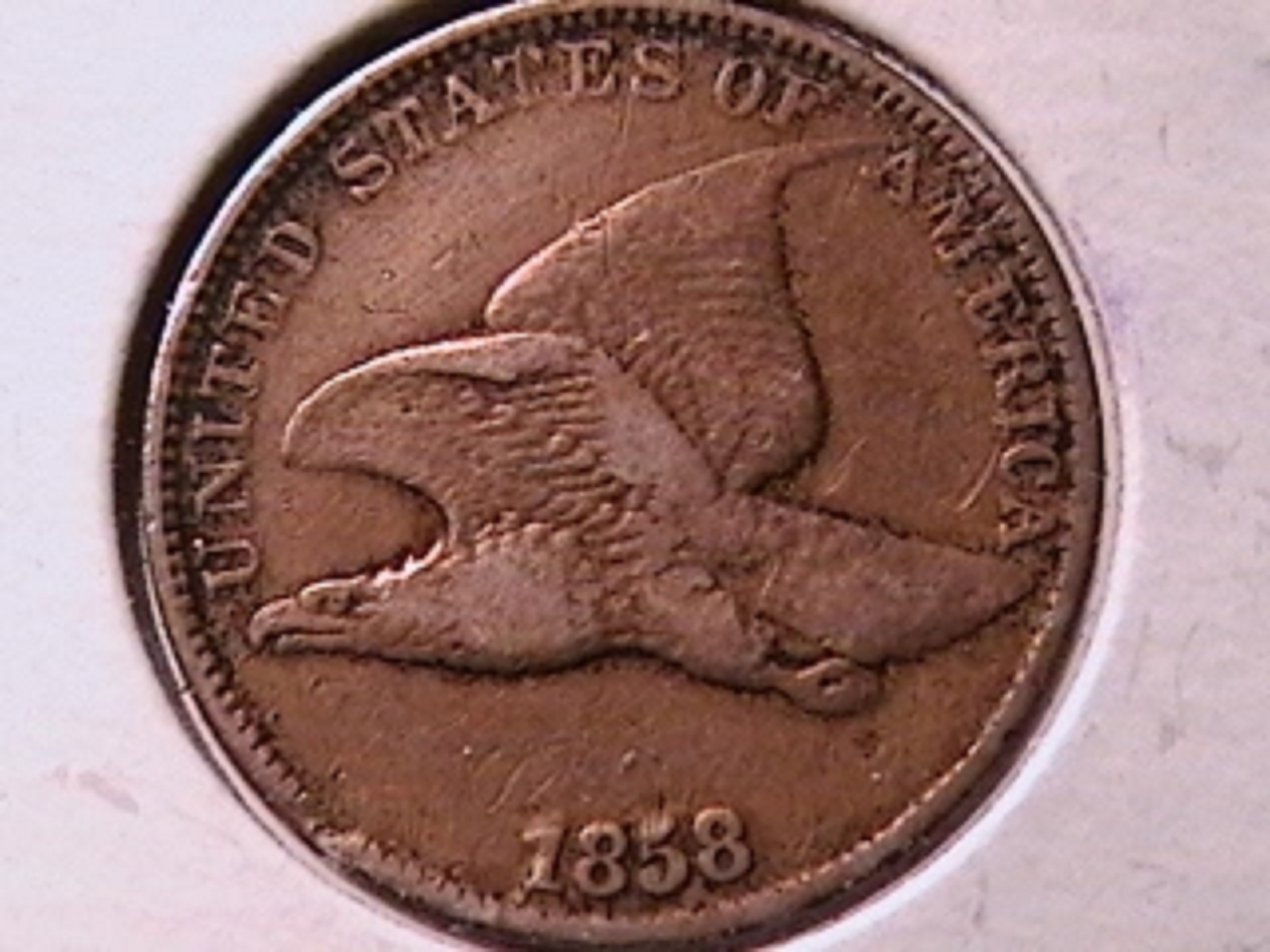 87b.jpg