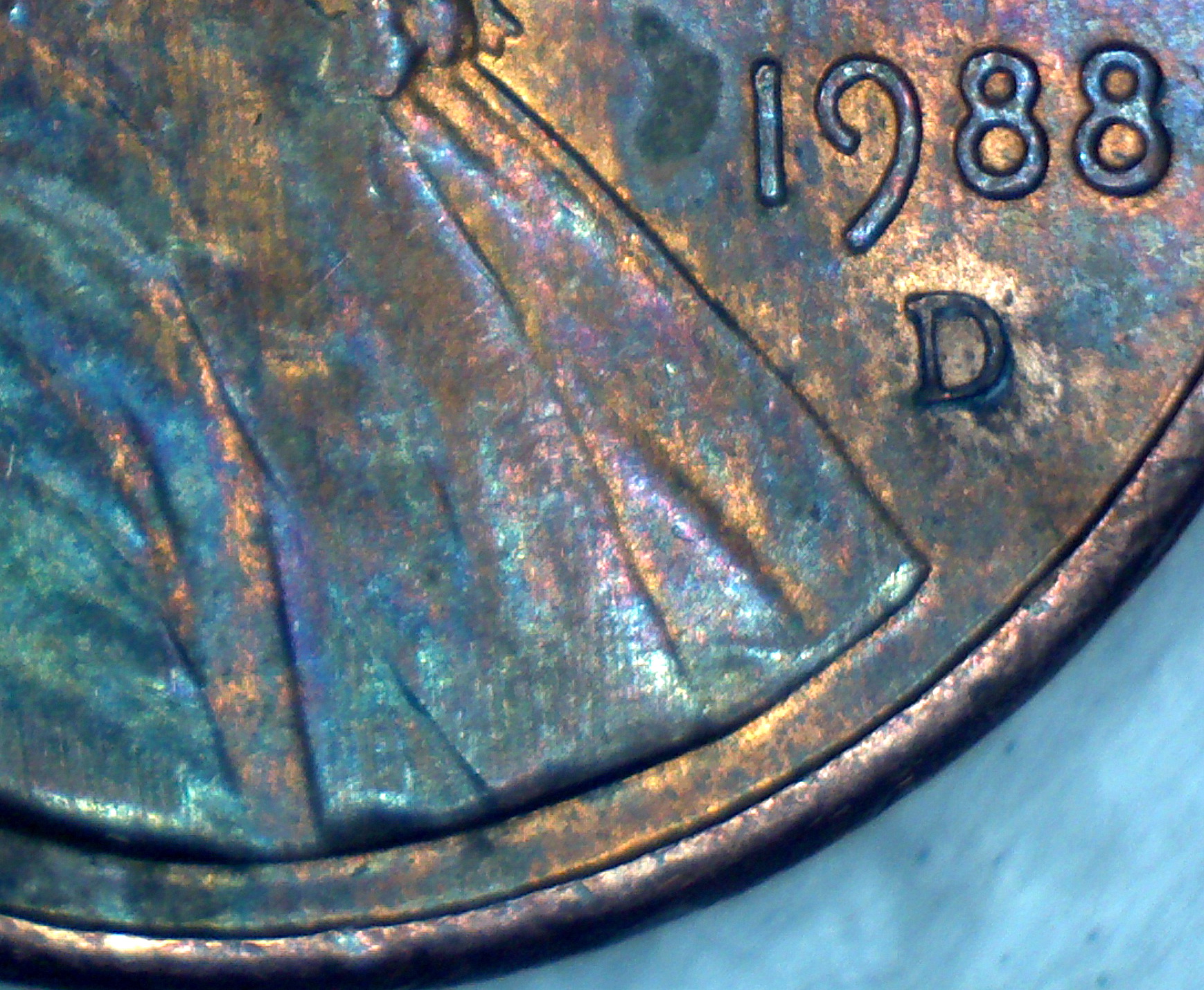 88bust5.jpg
