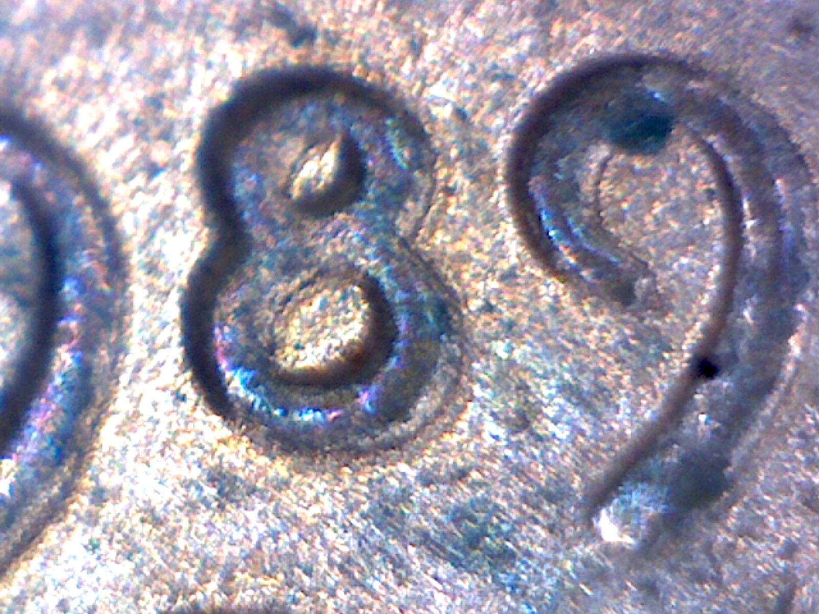 89of892.jpg