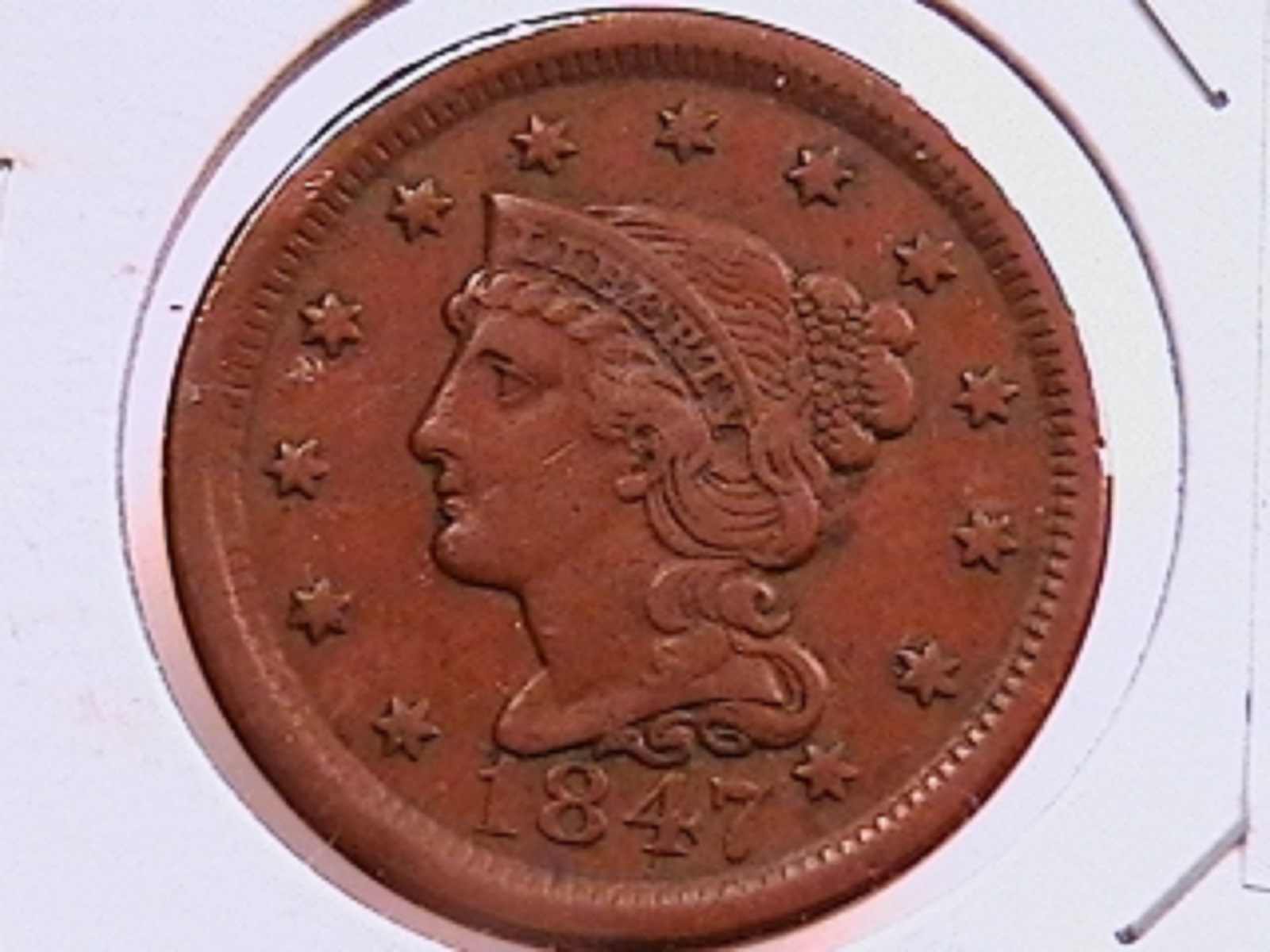 8b.jpg