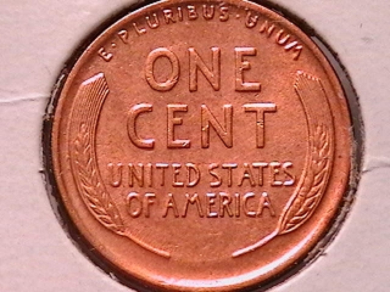 8c.jpg