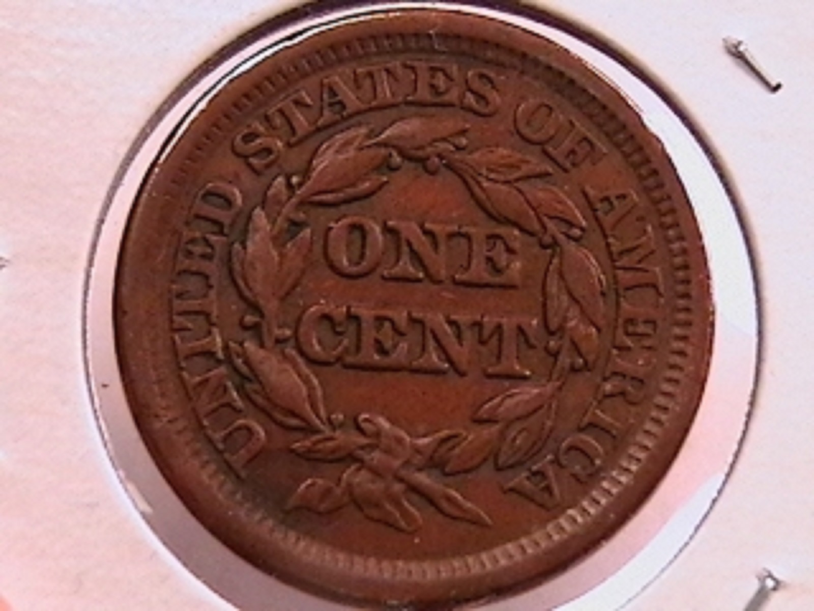 8c.jpg