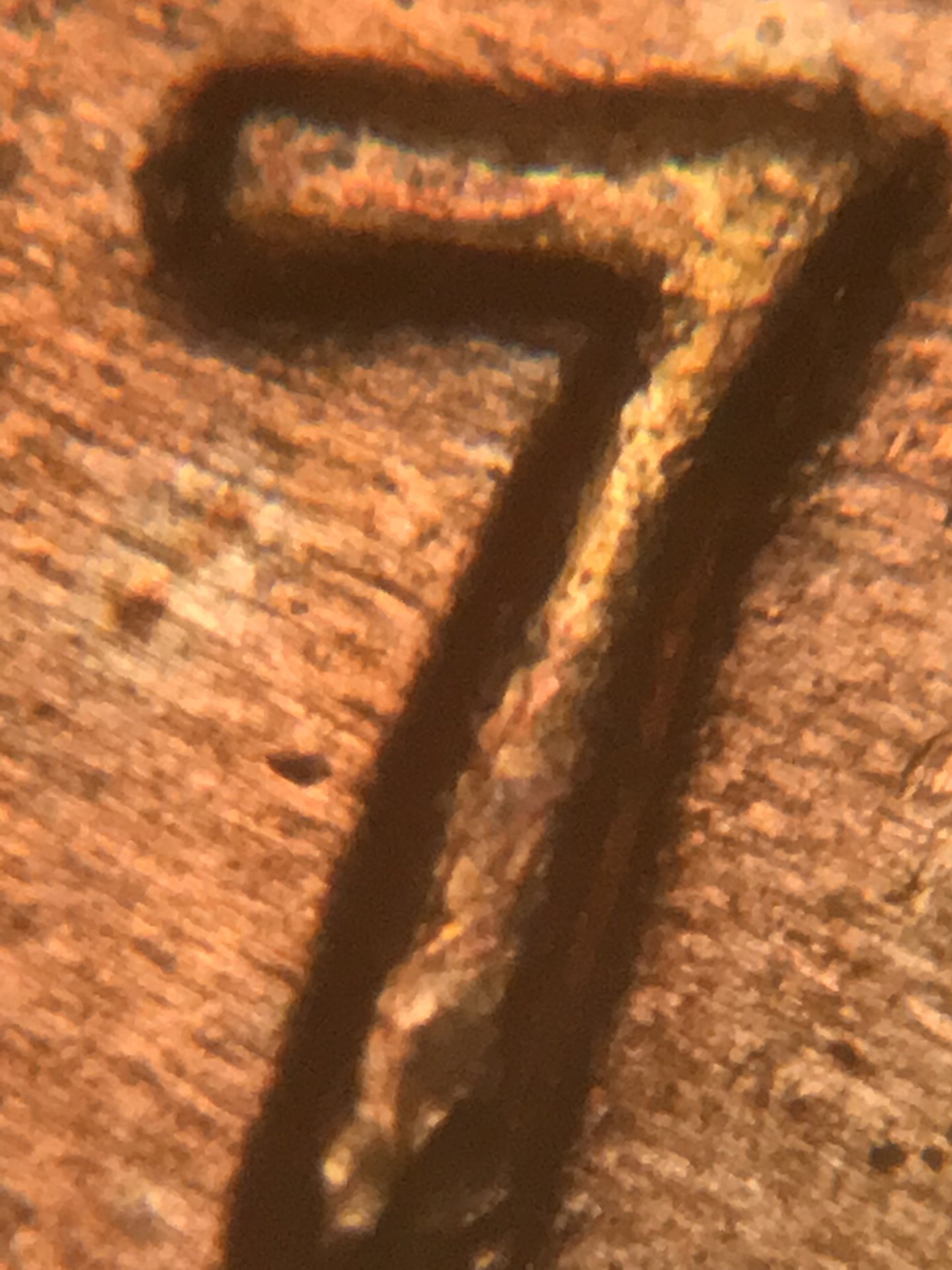 8DF35930-3BEE-4E3D-8089-75E4D504BA25.jpeg