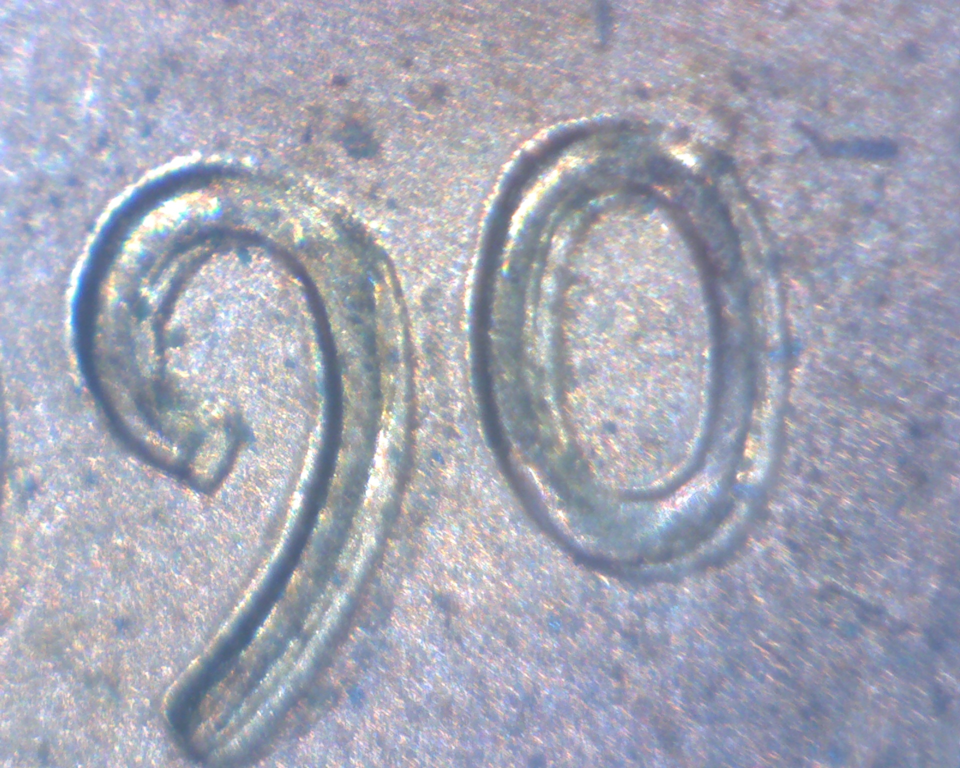 90 2.jpg
