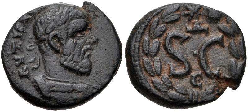 914599.jpg
