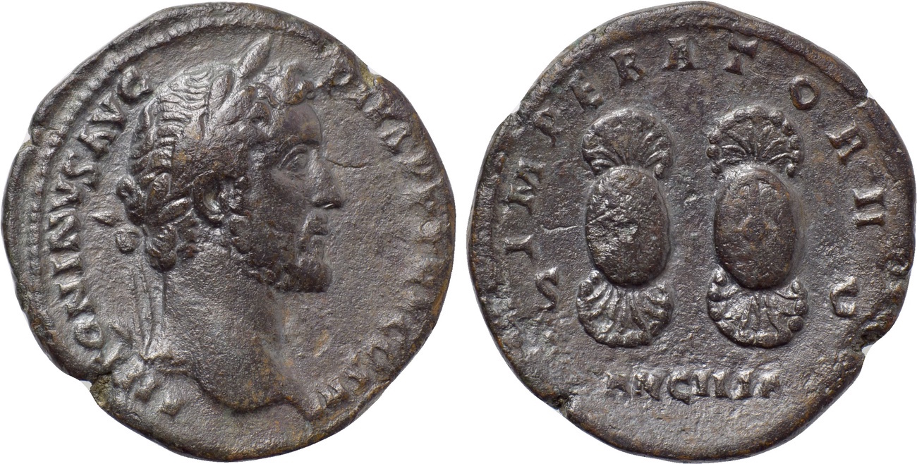 91746_1486671270 A-Pi Ancilia.jpg