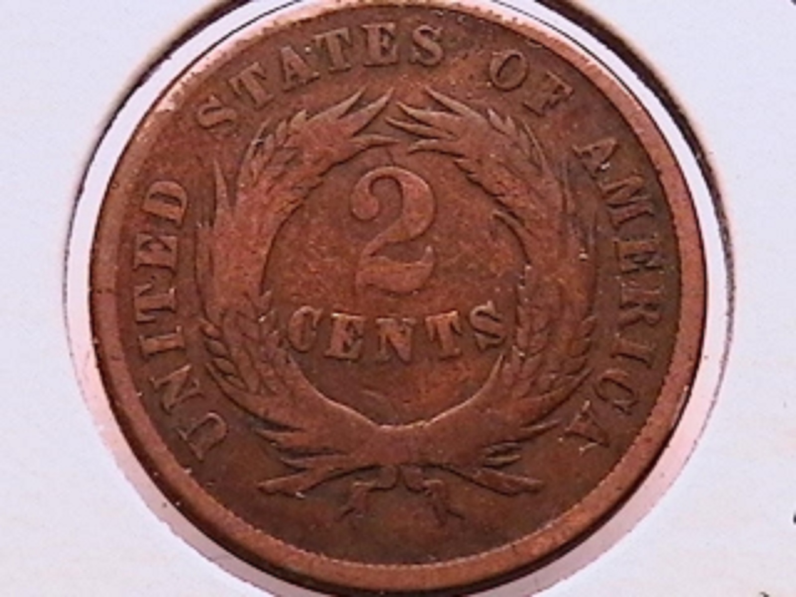91c.jpg