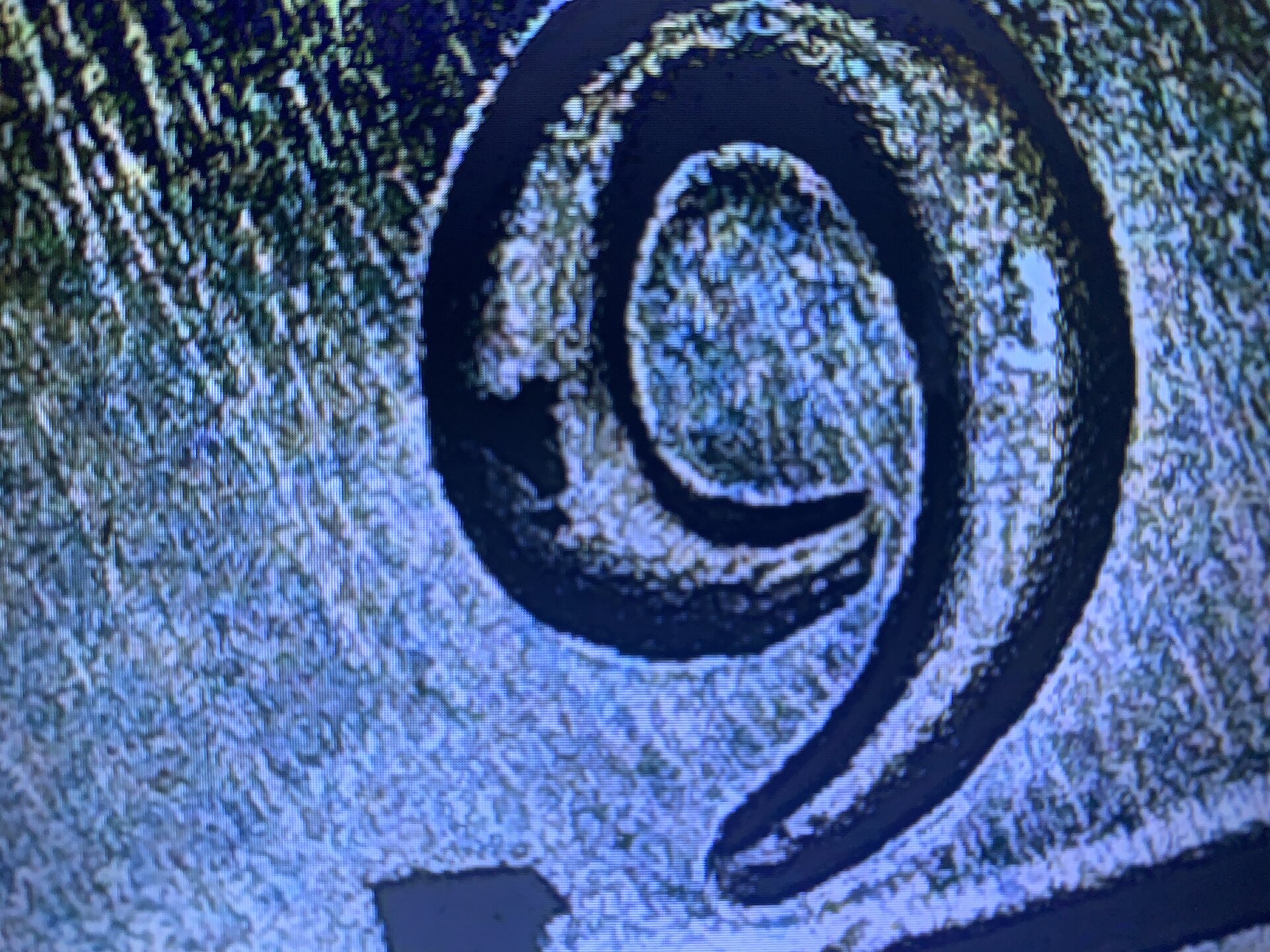 9469333A-0F1E-421D-84D5-83F54C34C494.jpeg