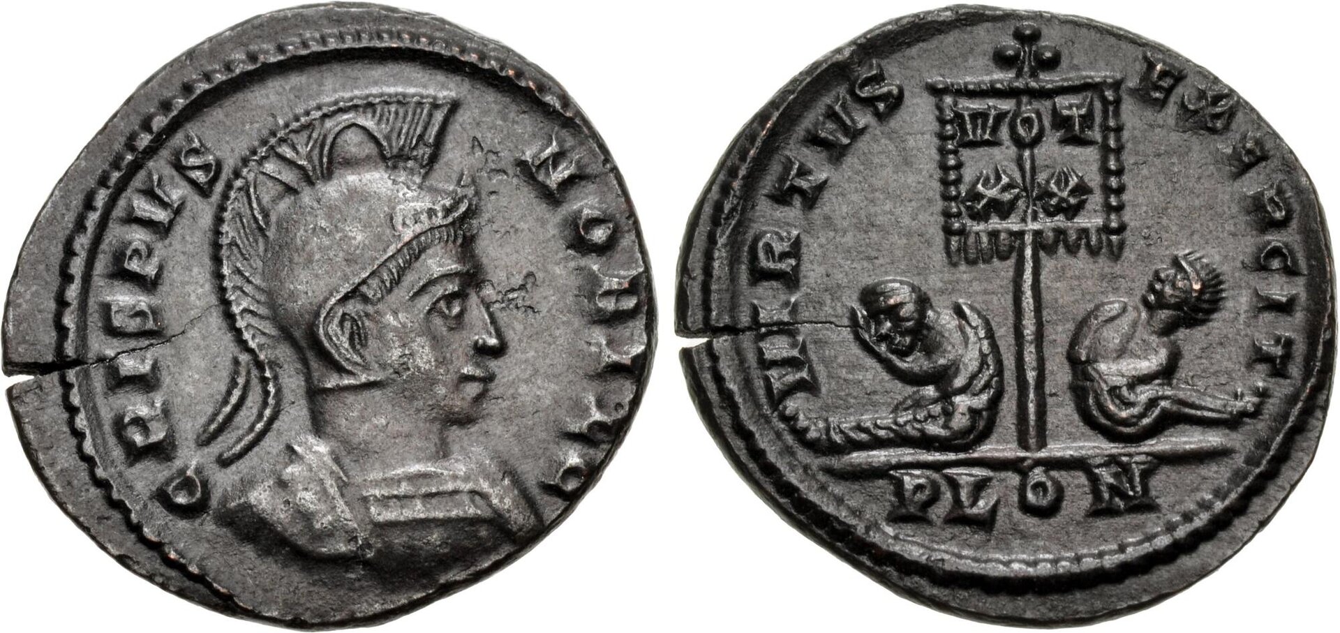 9481839.jpg