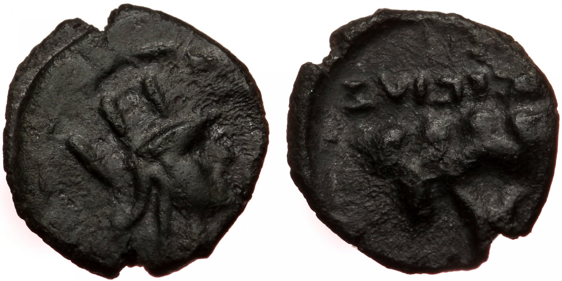 9499159.jpg