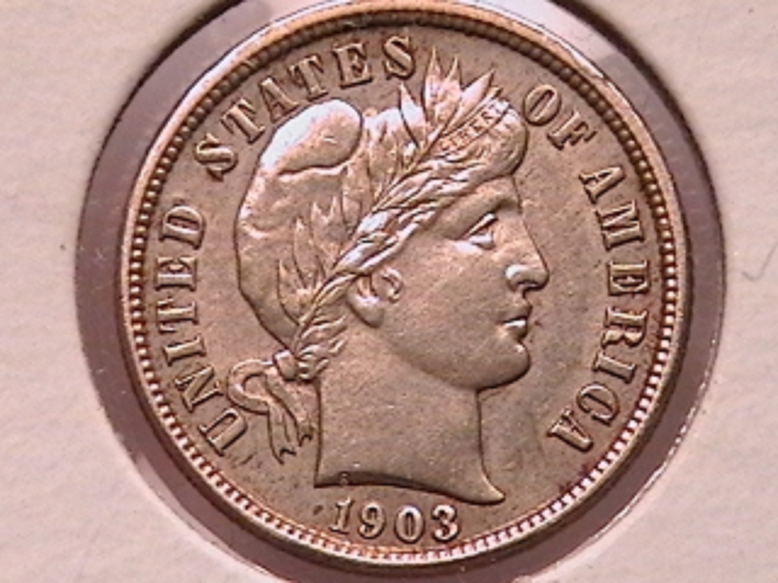 95b.jpg