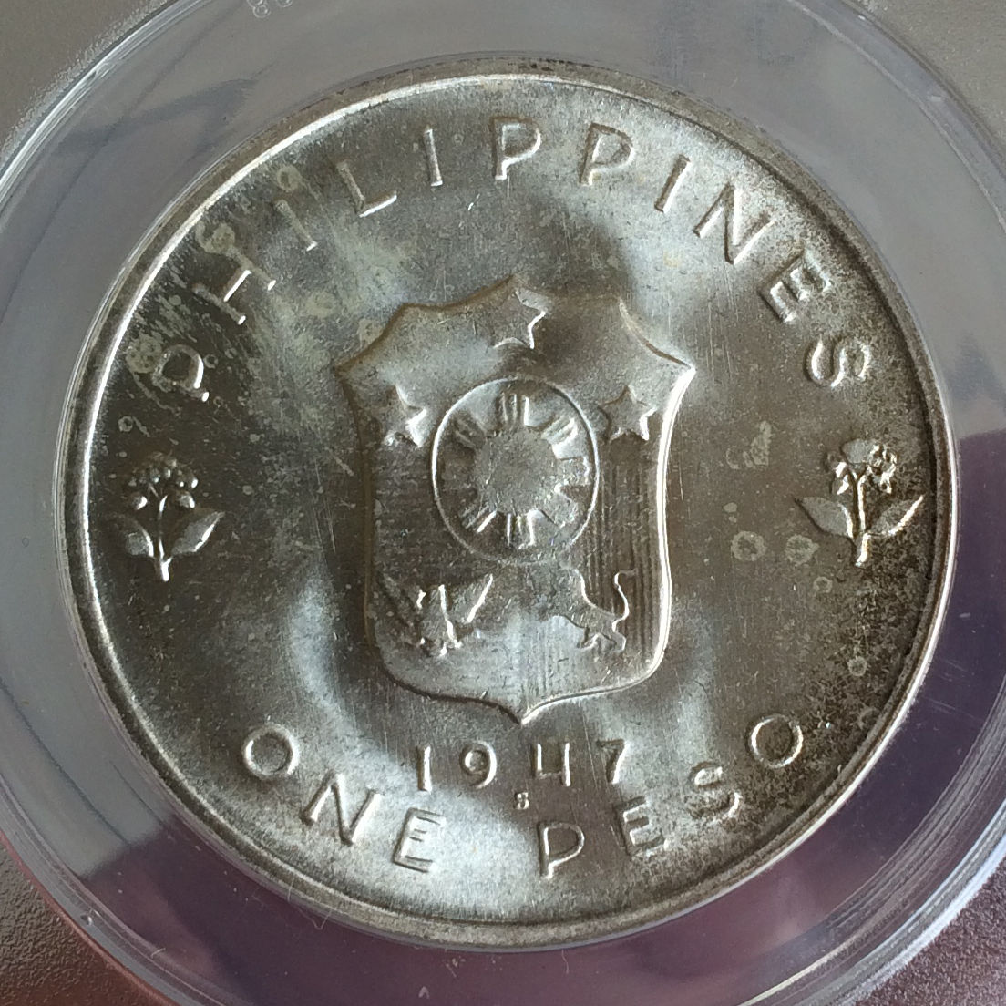 96.jpg