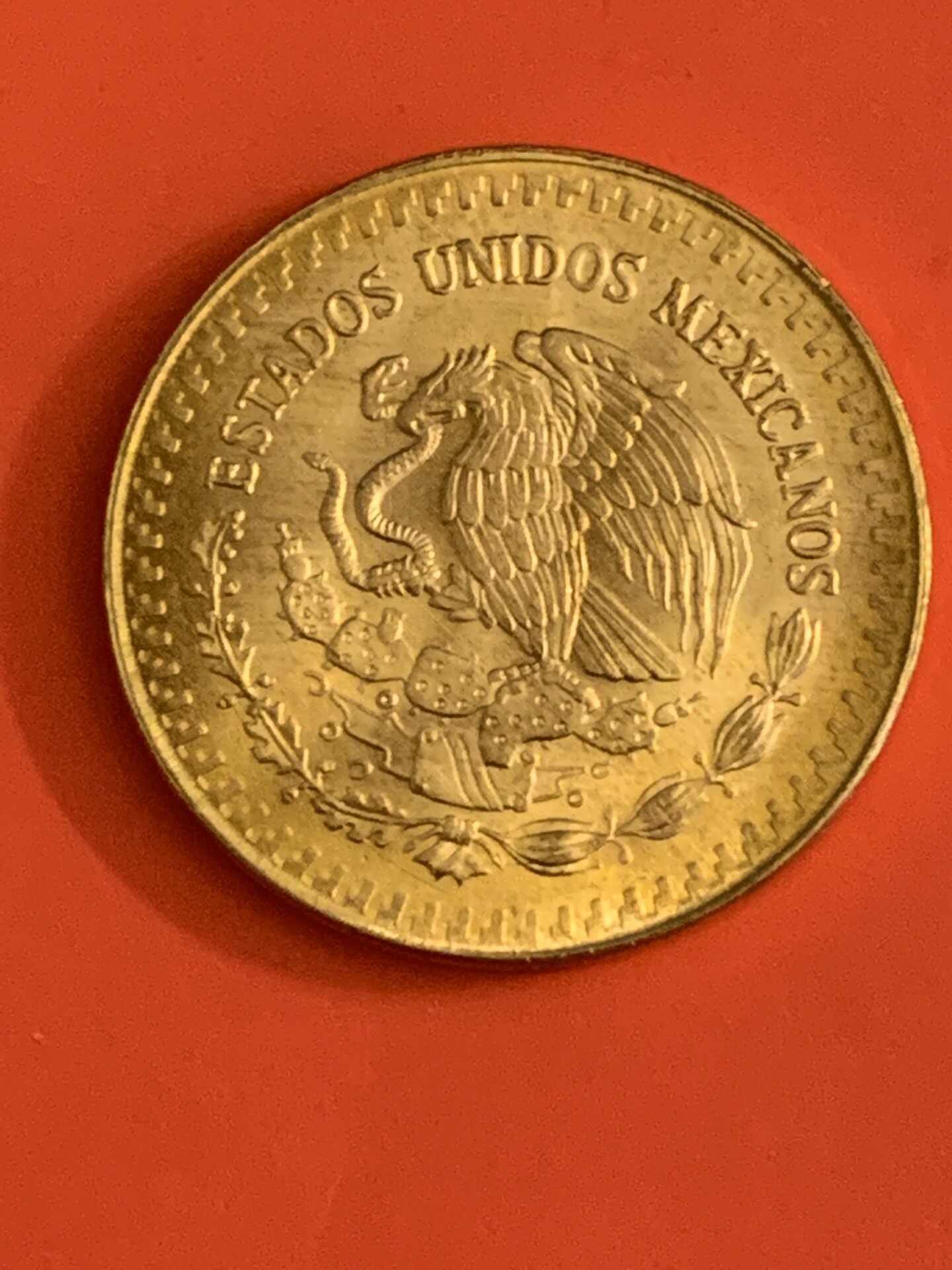 96D459CD-DFA7-4822-97FA-A299023F7141.jpeg