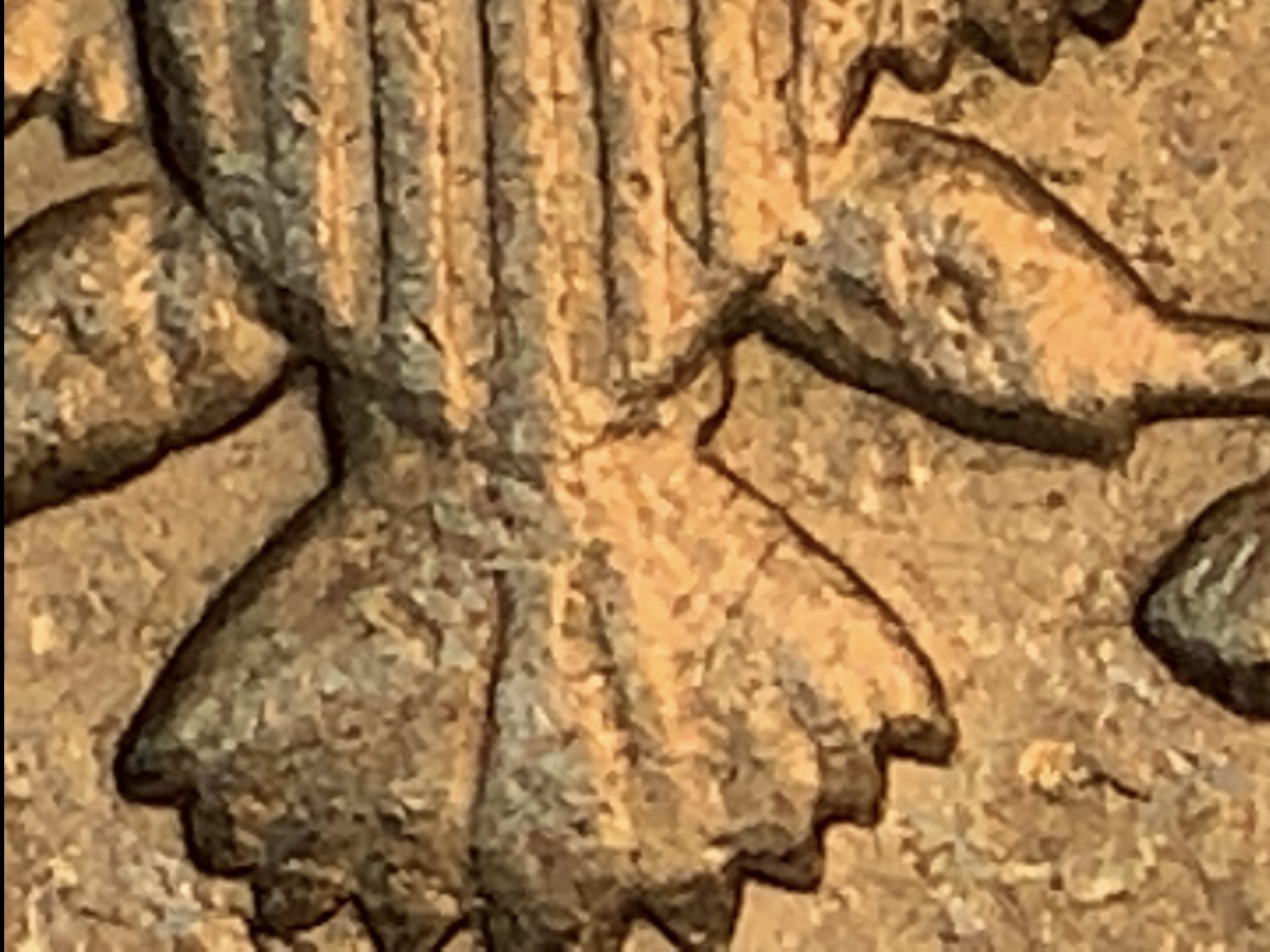 98AC6267-4DDA-4B8F-ADDF-D35B1673A1C8.jpeg