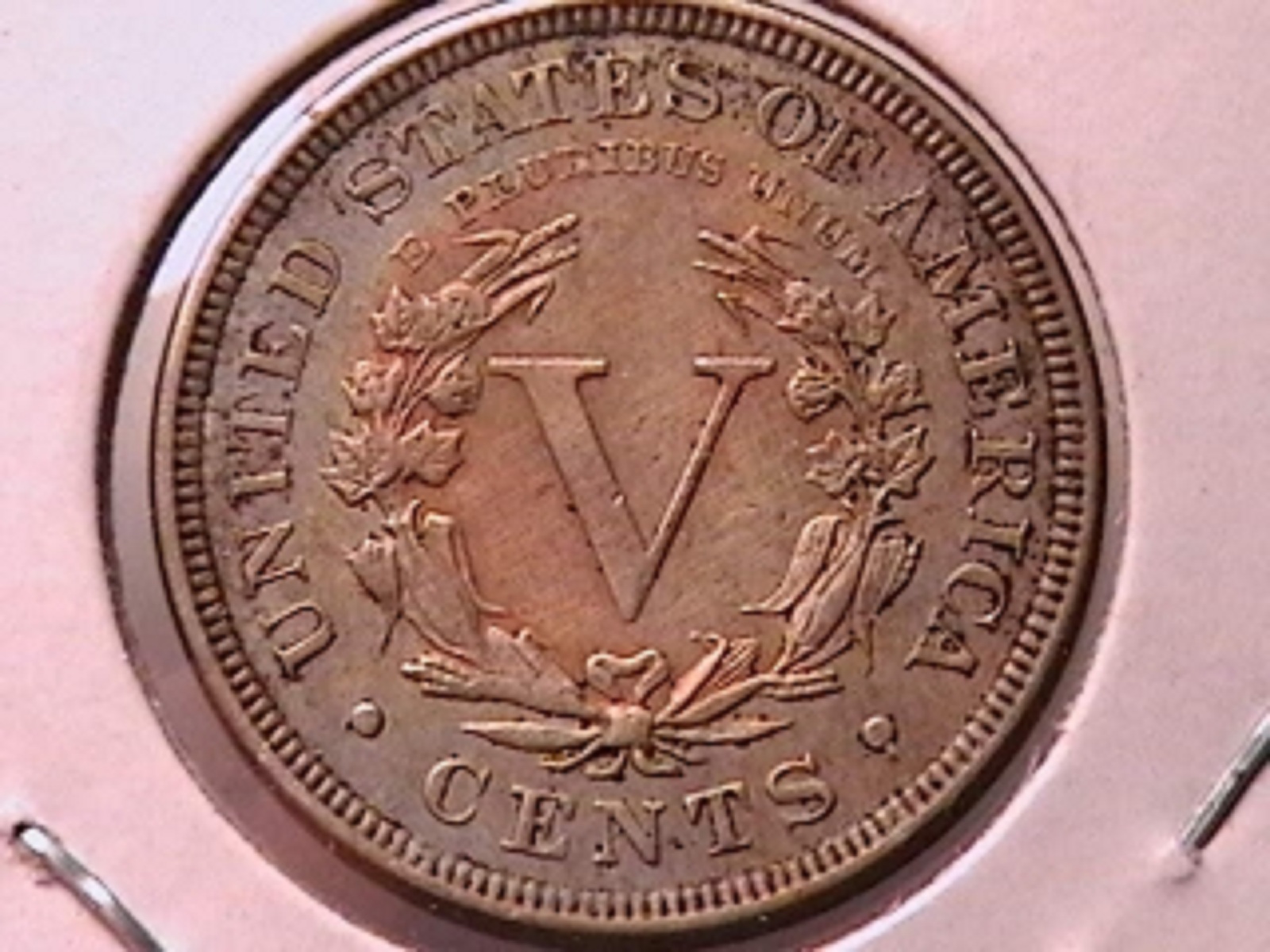 98c.jpg