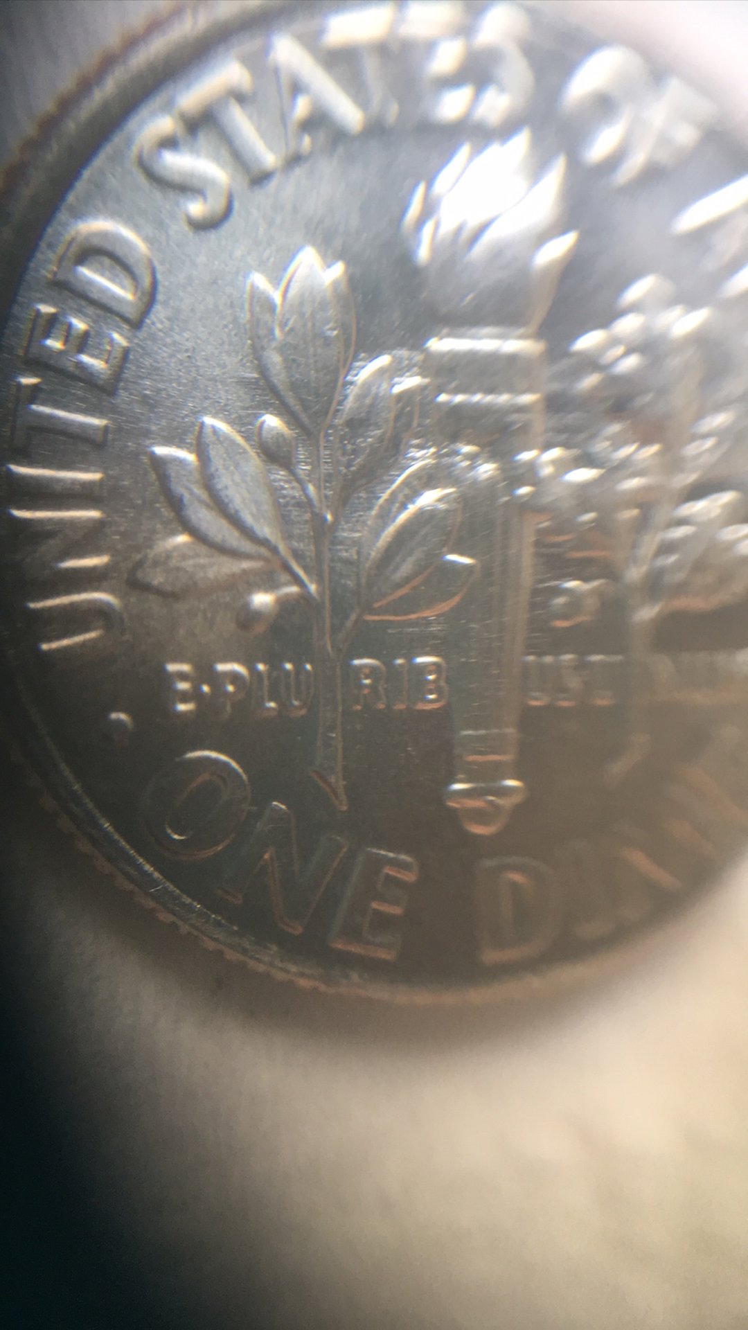 98C80241-C15E-4835-88EC-D026662002C3.jpeg