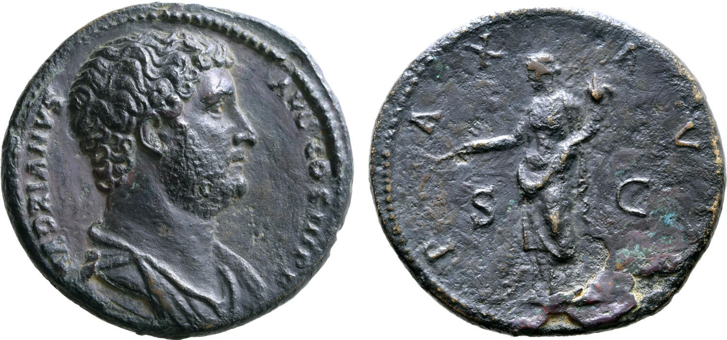 9912932.jpg