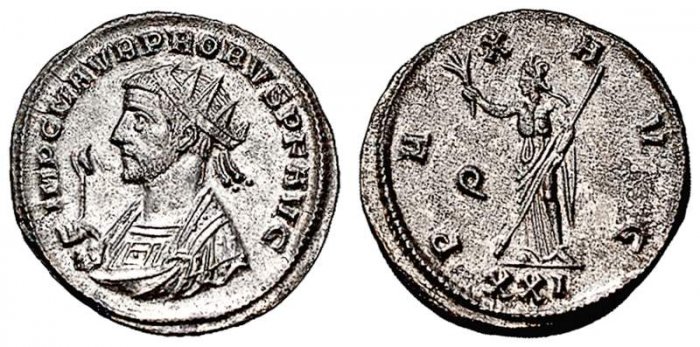 993596.jpg