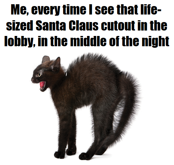 9A14146F-9338-4B2F-BB8B-0BF2CEC5B161.png