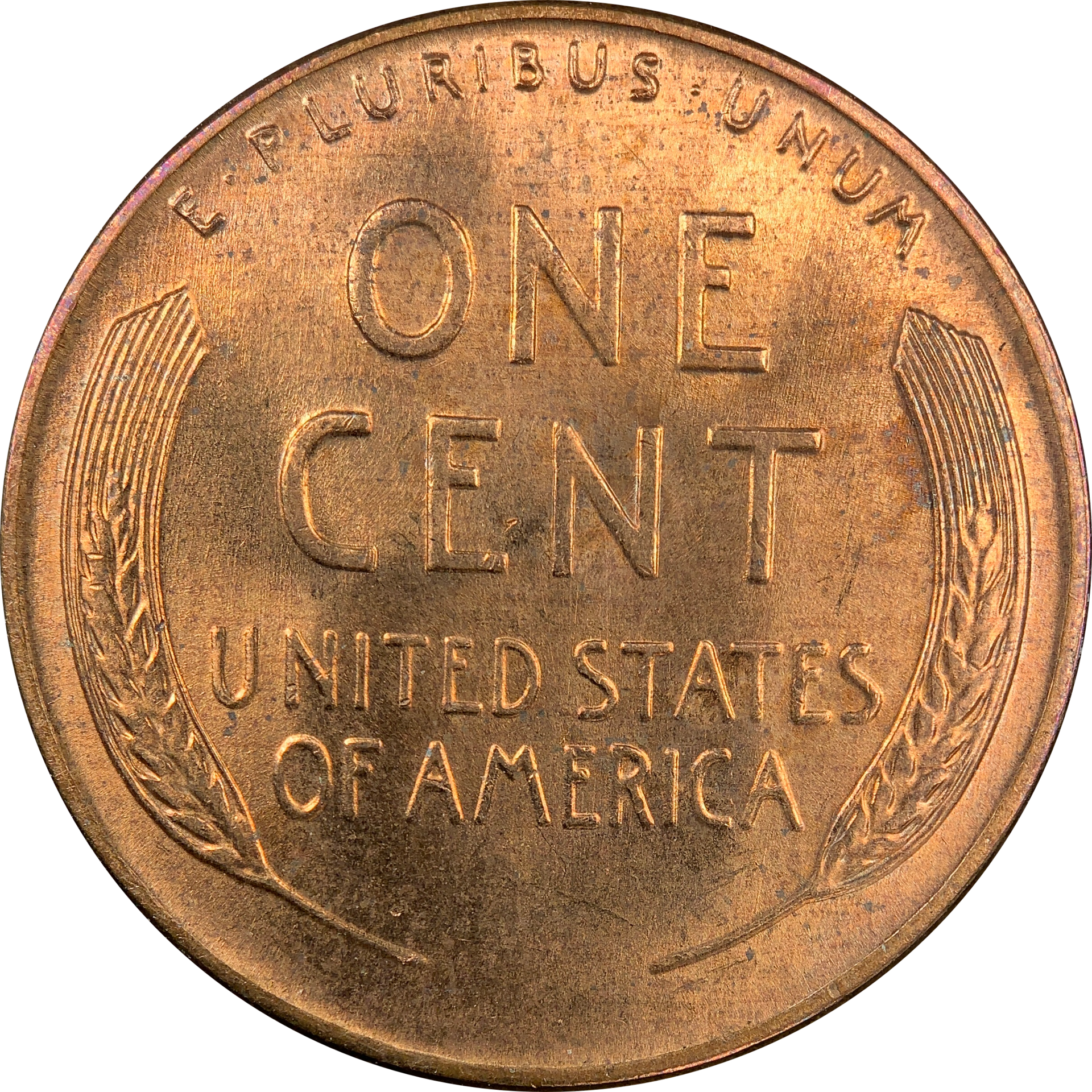 9AB18159-AF8E-44E4-8AF9-A5C70959C06A.png