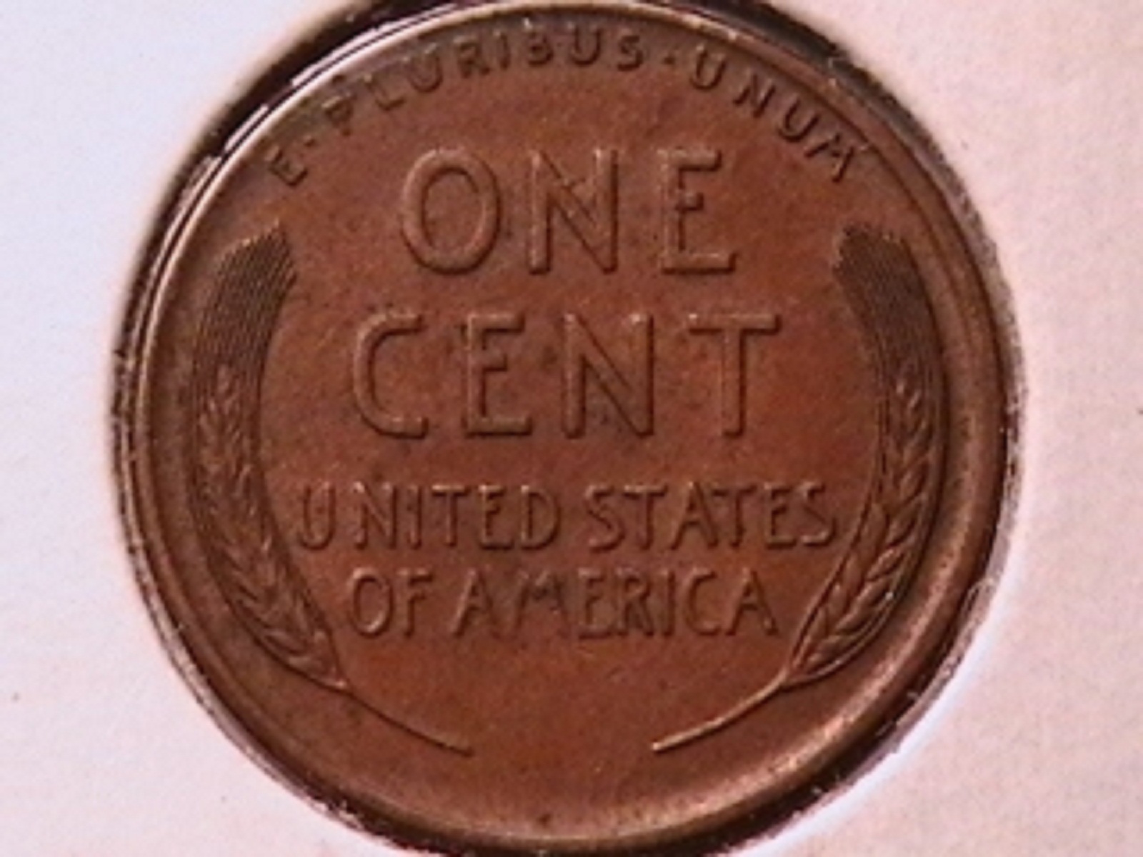 9c.jpg
