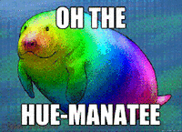 9c8.gif