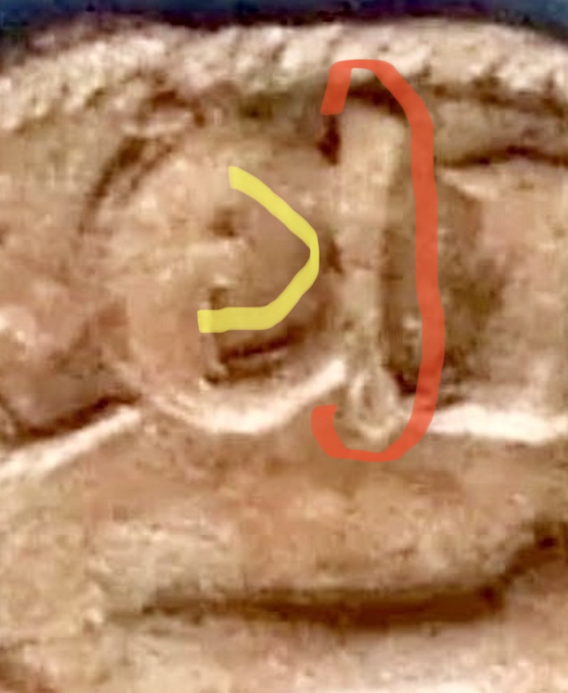 9CE37510-F3A9-4115-AC1A-DBCE570AEC31.jpeg