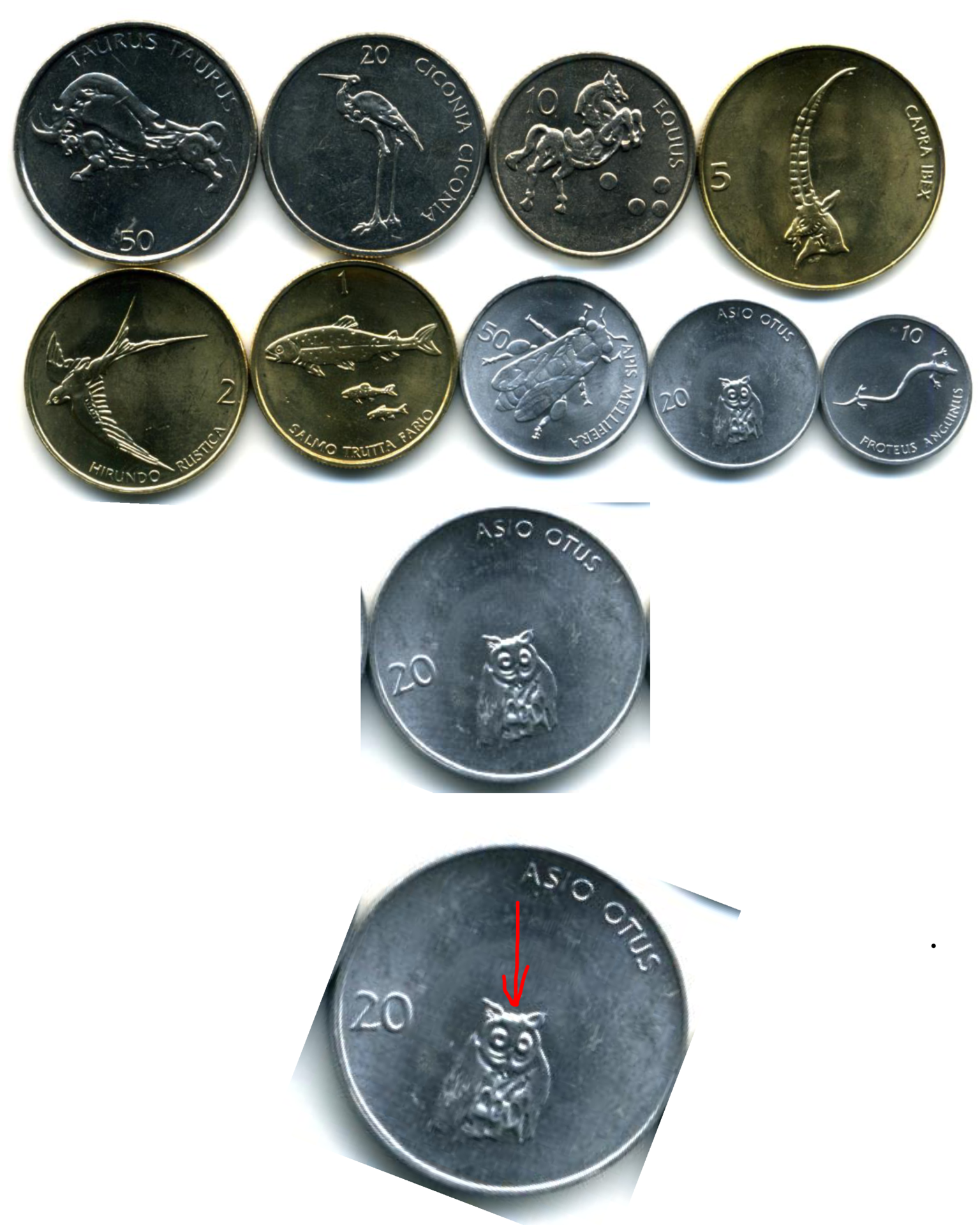 9E4AFB9E-D26C-4BF4-8C8C-8A5CF1D814A3.png