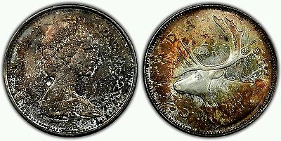 $_1 (2).JPG