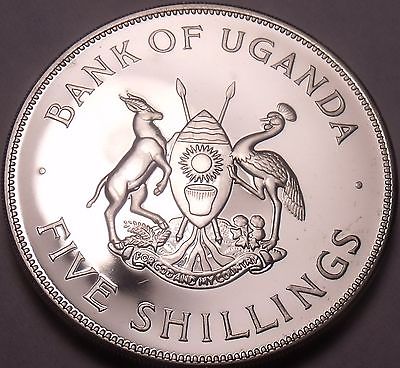 $_1 (4).JPG
