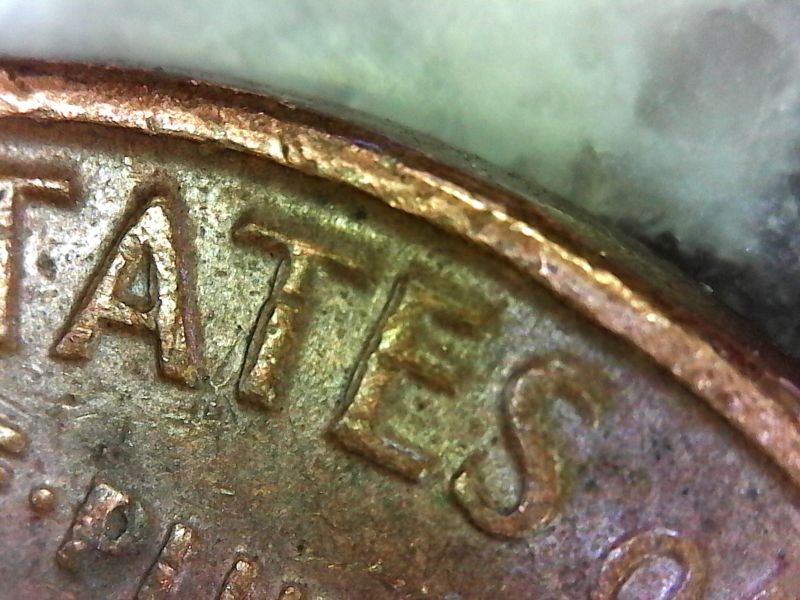 $_3[1].JPG