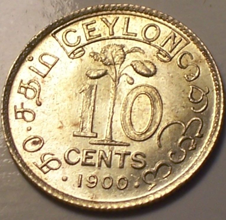 $_3 (12).JPG