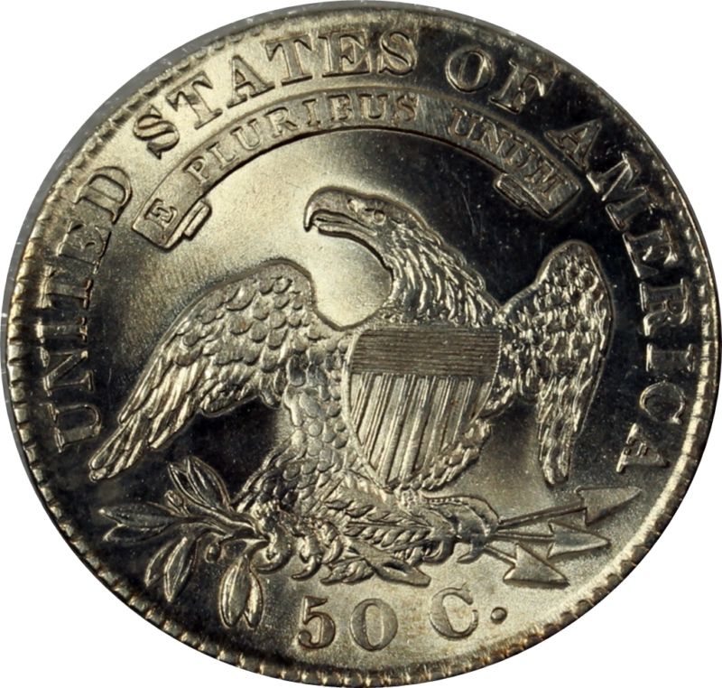 $_3 (4).JPG