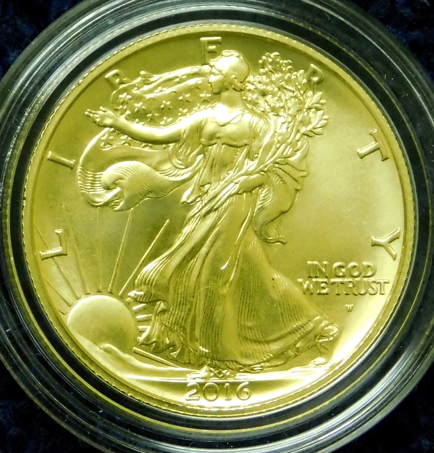 _5 OZ Lib O1.jpg